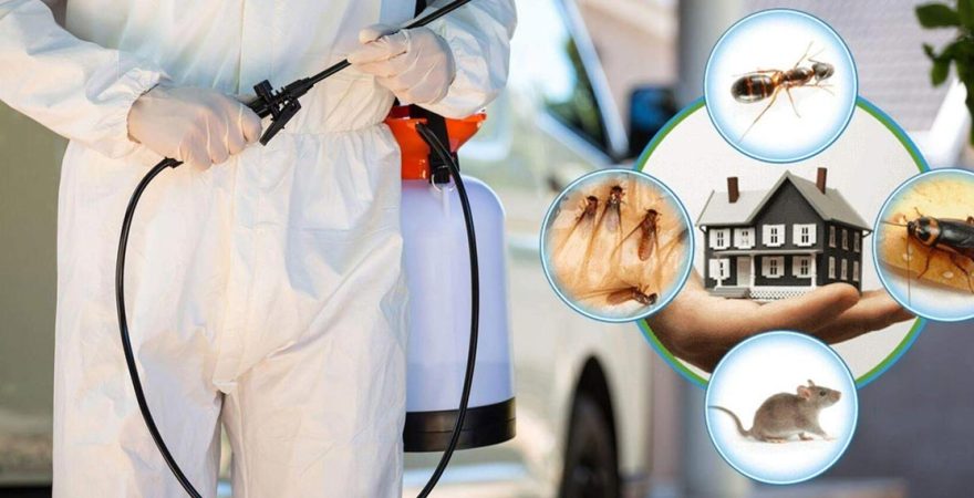 Örnekköy Böcek İlaçlama