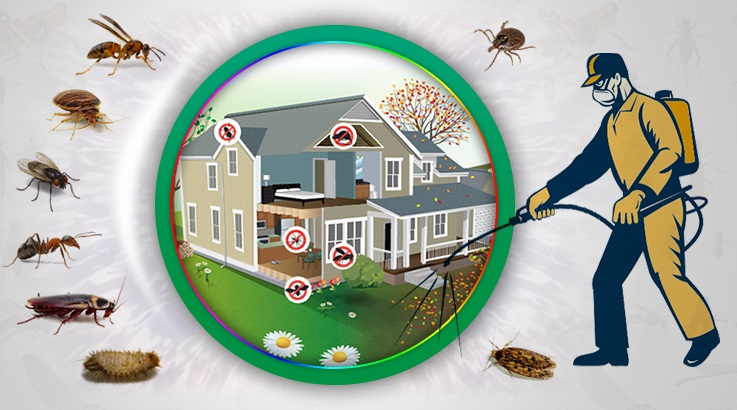 Örnekköy Böcek İlaçlama