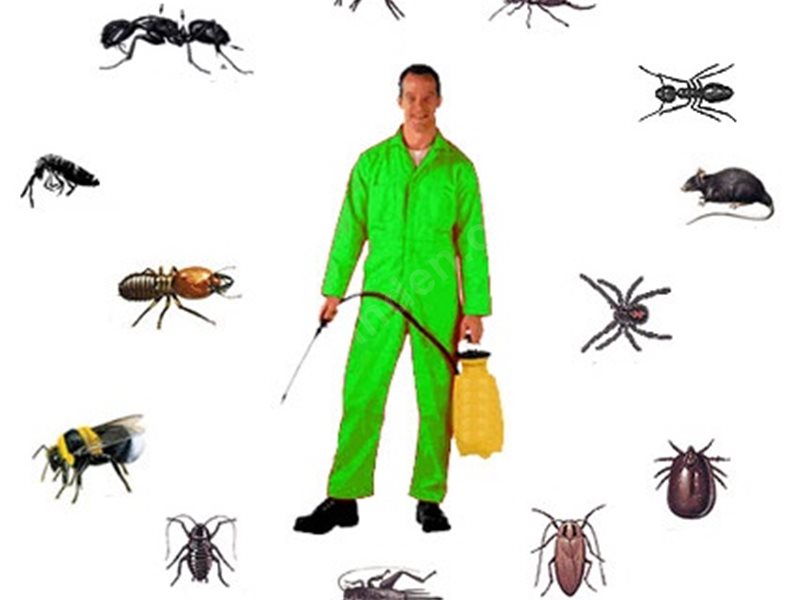 Örnekköy Böcek İlaçlama